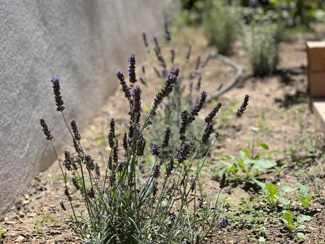 Une Nuit En Luberon Puyvert 外观 照片